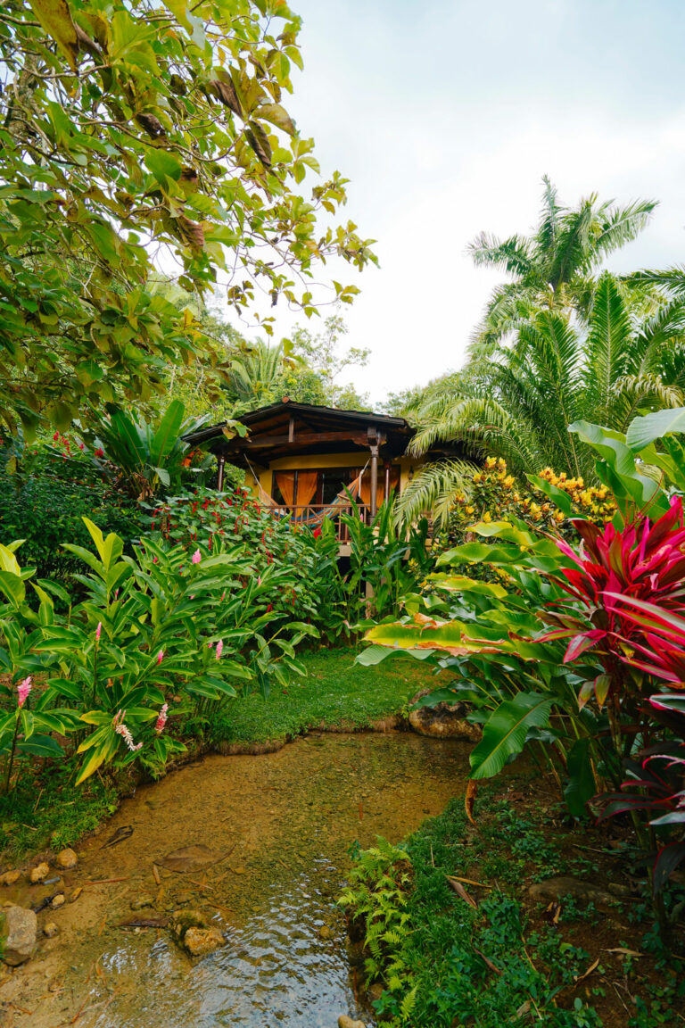 A cabin hidden behind bushes at the Rainforest Lodge at Sleeping Giant