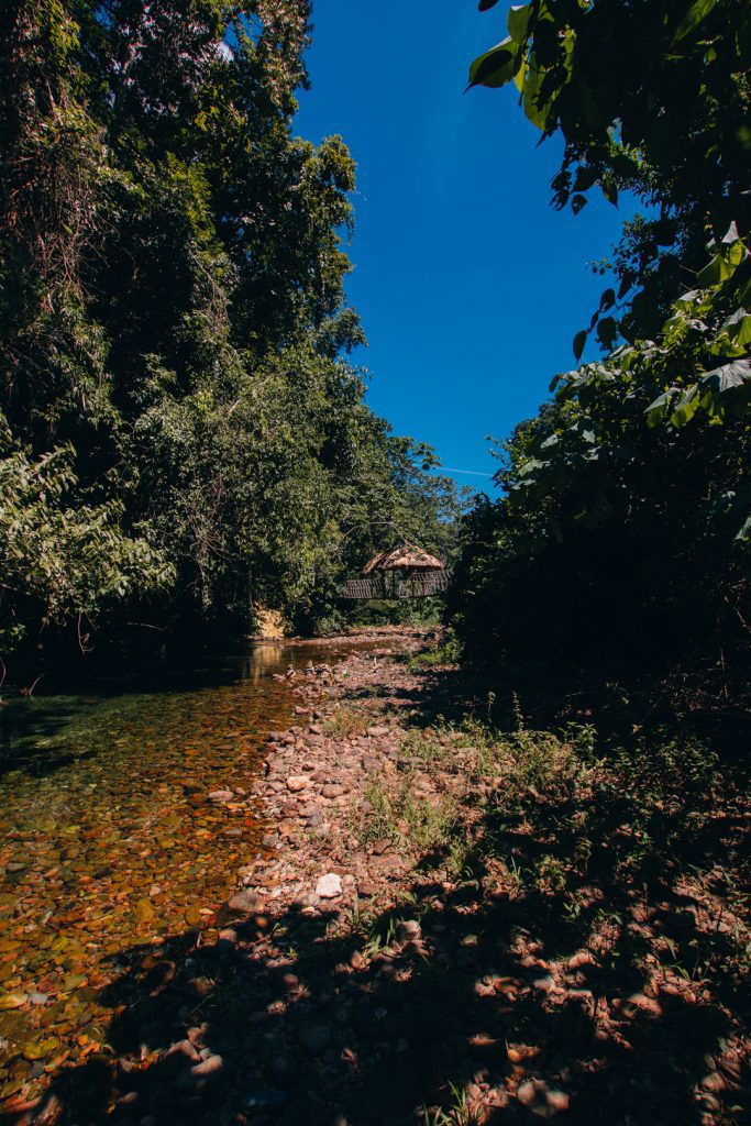 A rope bridge over a shallow creek at et The Rainforest Lodge at Sleeping Giant