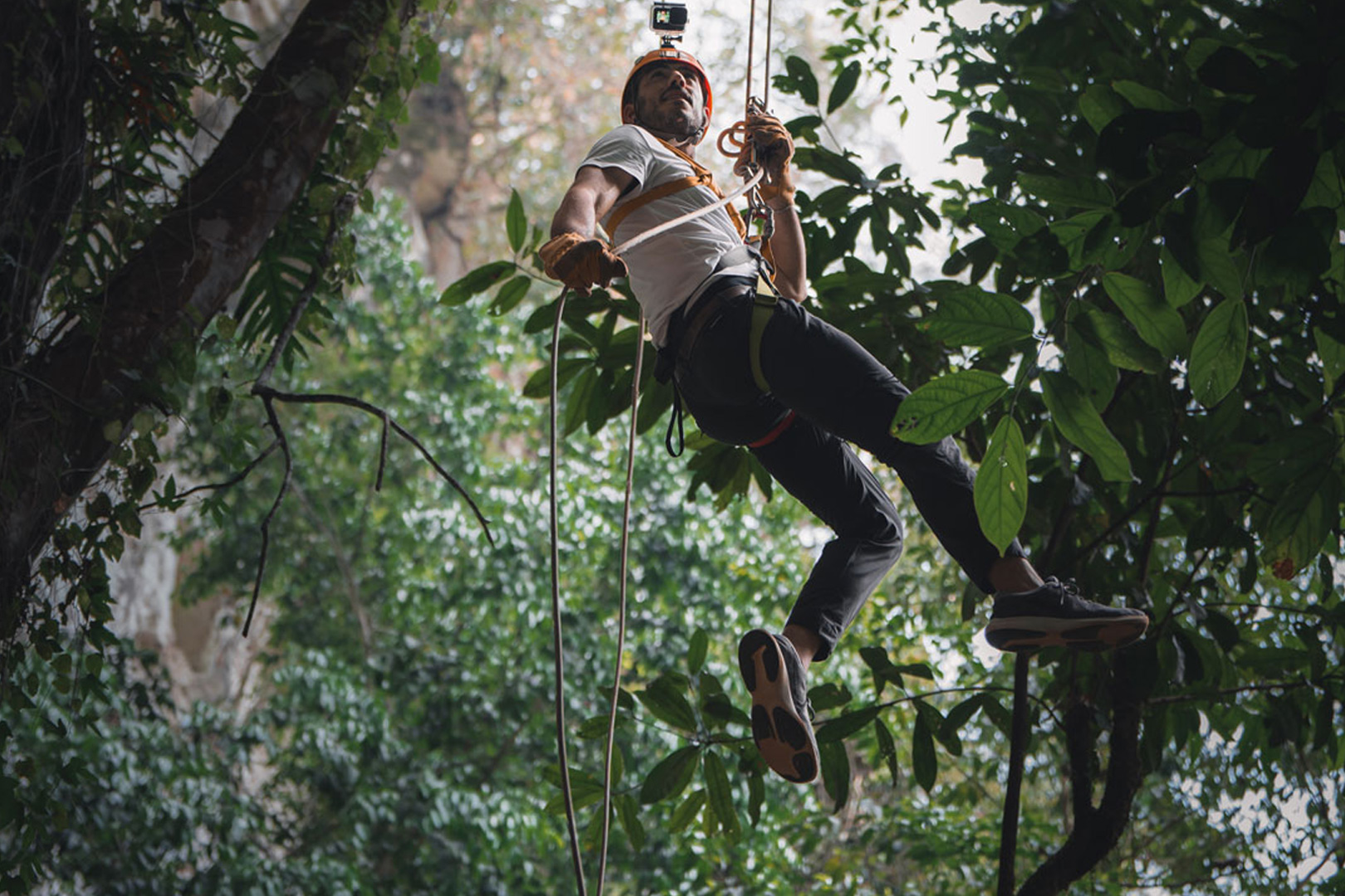 A guest rappelling down from the canopy into the ATM Cave during the Black Hole Drop Tour at The Rainforest Lodge at Sleeping Giant