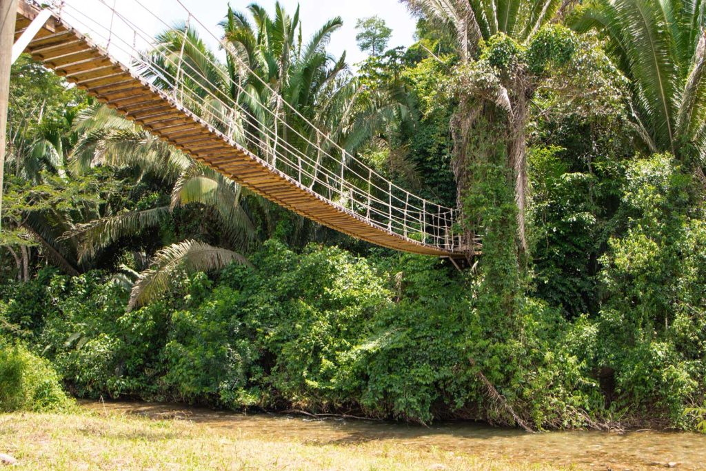 One of the swinging rope bridges at The Rainforest Lodge at Sleeping Giant