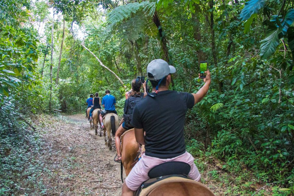 A group of guests riding horses through the jungle trails at The Rainforest Lodge at Sleeping Giant