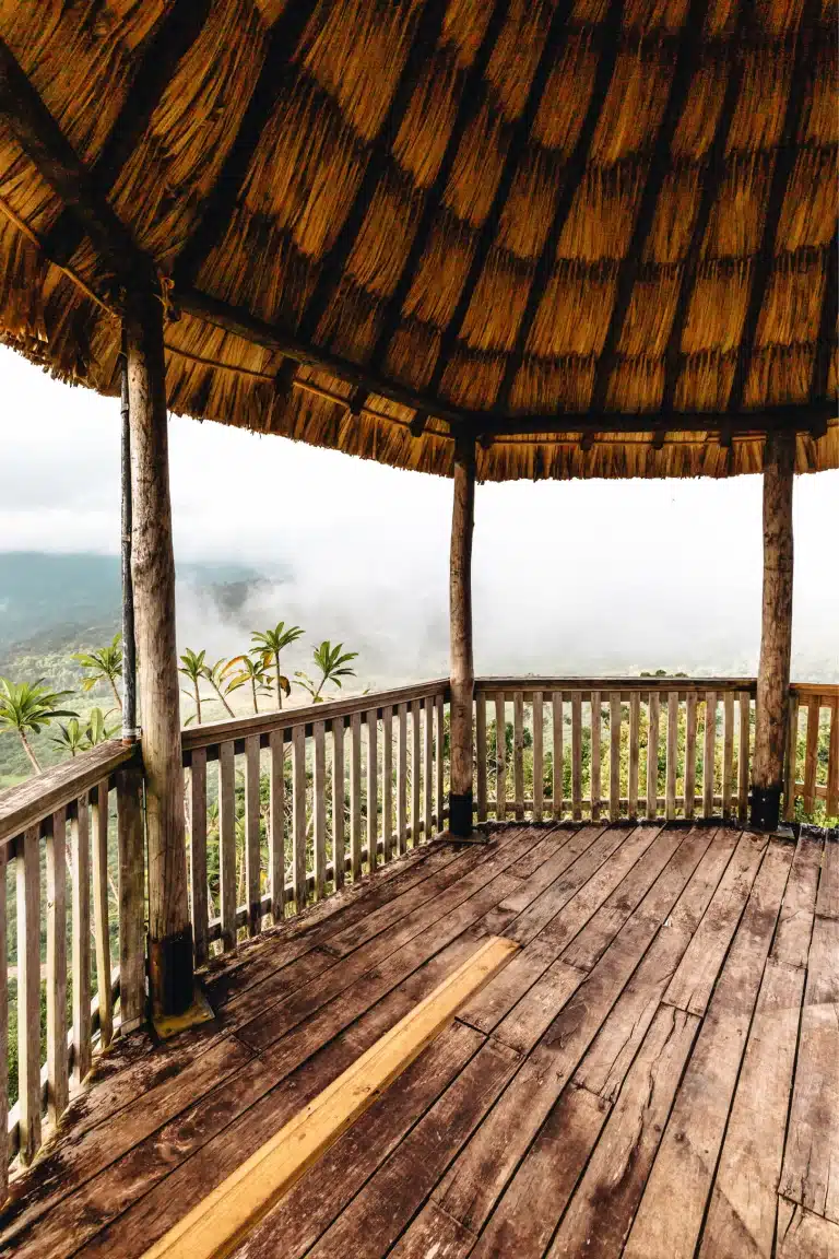 A view from the lookout at The rainforest Lodge at Sleeping Giant