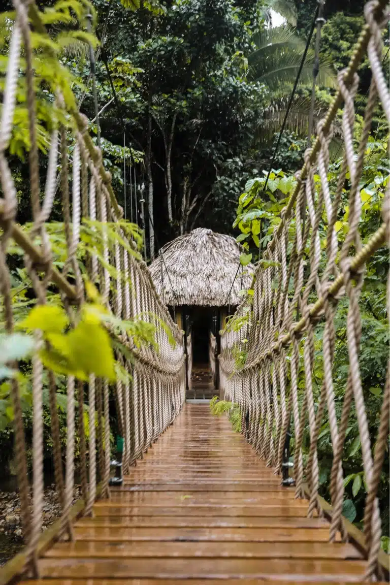 A rope bridge on the property of The Sleeping Giant Lodge