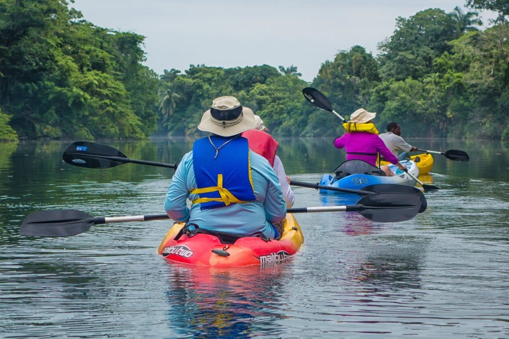 Guests paddling in their kayaks on the Sittee river during their kayak tour